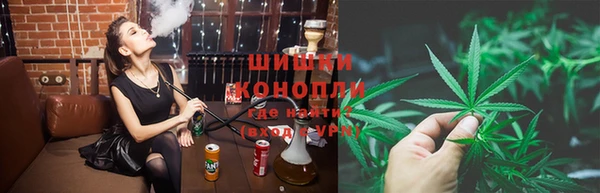 ГАЛЛЮЦИНОГЕННЫЕ ГРИБЫ Семилуки